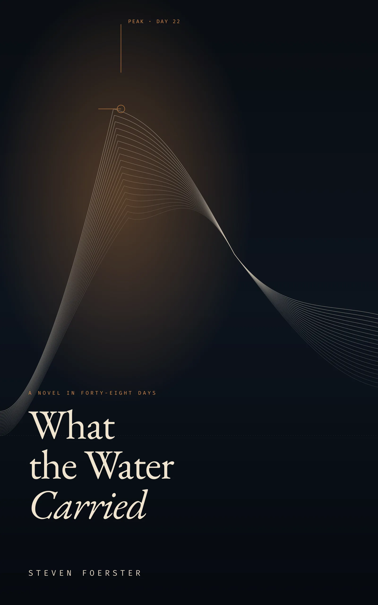 What the Water Carried cover